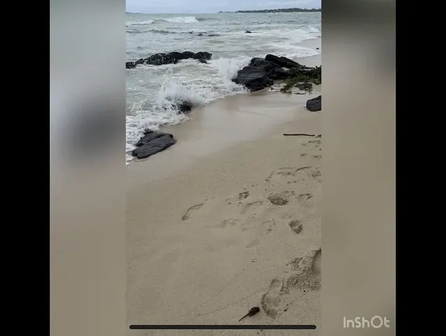 Am öffentlichen Strand in Grand Baie gefickt
