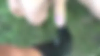 Stella31