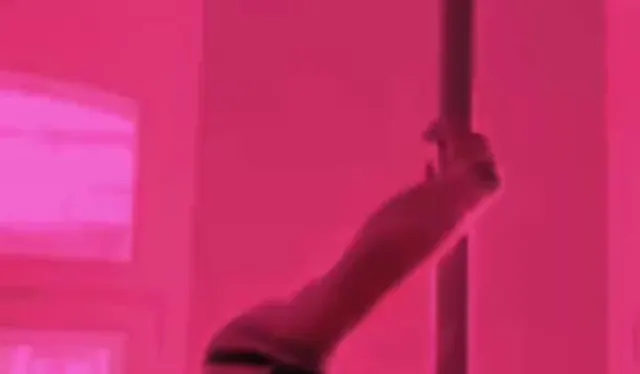 Poledance @home, kurzes Video zum reinschauen