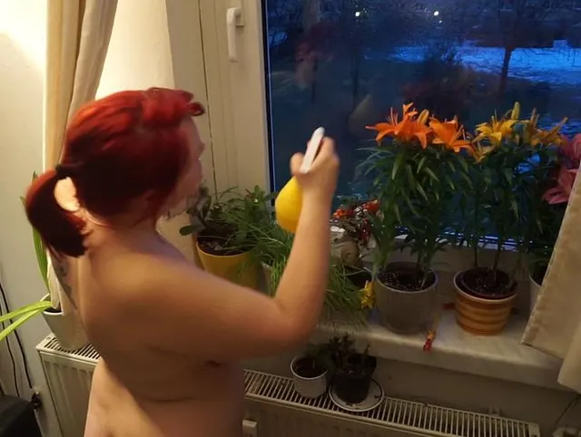 fenster putzen