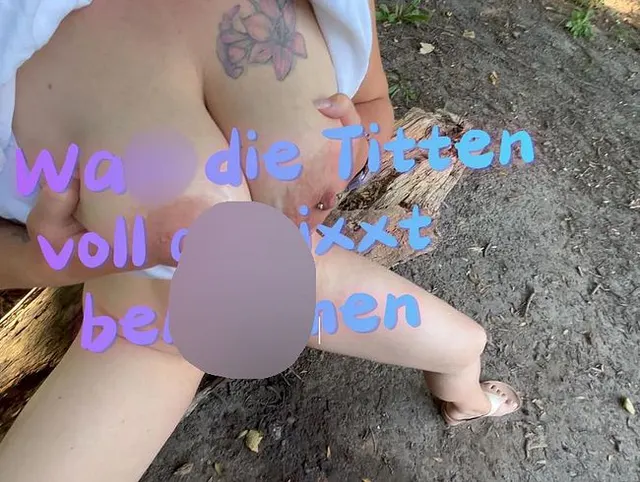 Im Wald die Titten voll gewixxt bekommen