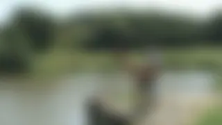 Spontanfick am See