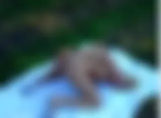 Outdoor Fun