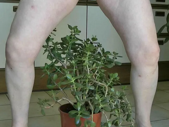Mein erstes Pissvideo