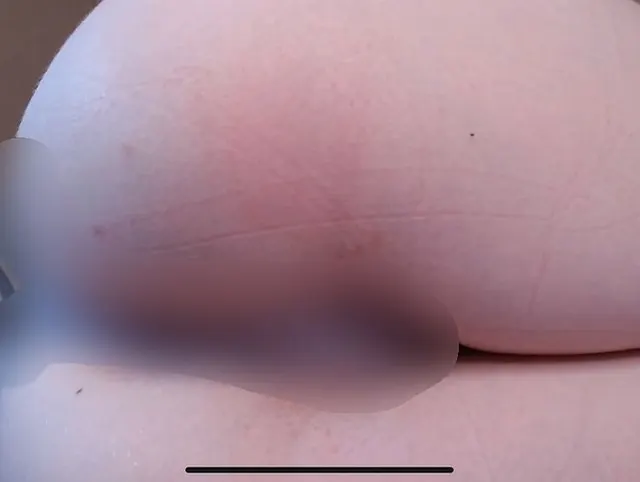 Anal Plug-Play
